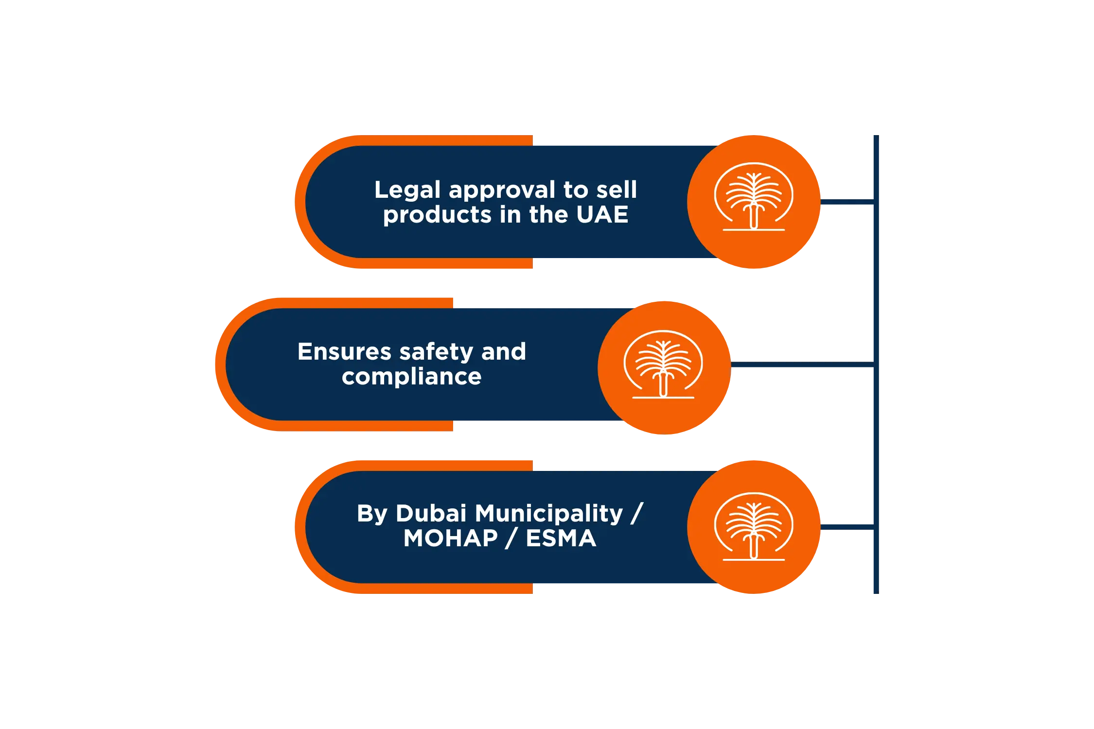 What is Product Registration in the UAE