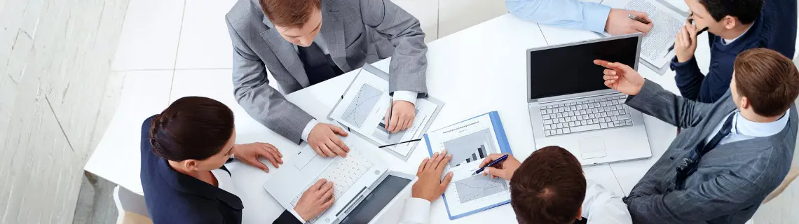 consulting and professional services